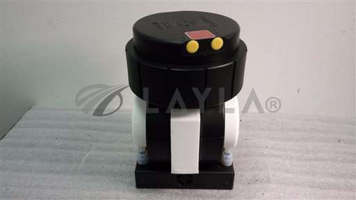 /-/Trebor Maxim 25 Diaphragm Pump w/ SS95 Air Op Pulsation Dampener Surge Supp.//_01