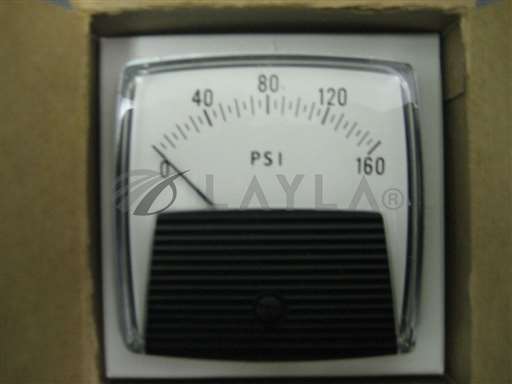 /-/GE 250-2 PSI Panel Meter//_01