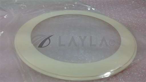 /-/TI Texas Instruments 22933-CR4-2G Ceramic Pumping Plate Insert (AMAT?)//_01