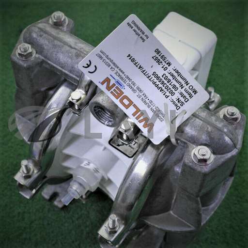 -//WILDEN P1/APPP/TF/TF/ATF/014 PUMP/DHL shipping//_01