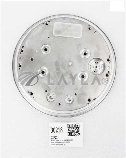 0040-18219/--/APPLIED MATERIALS LASED, PEDESTAL, 200MM SNNF SML FLT (PARTS) 0040-18219/--/_01