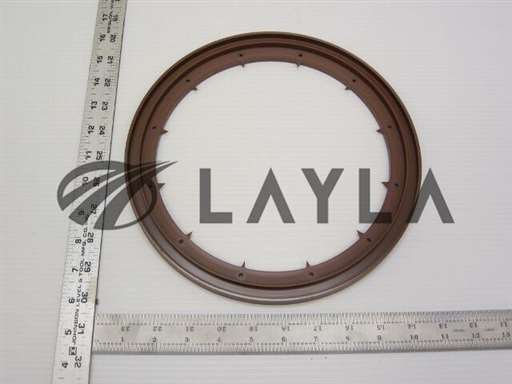 0020-32988/-/Clamp Vespel/Applied Materials/-_01