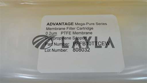 PFFB10TTCEW/Mega-Pure Series/PTFE Membrane Filter Cartridge New/Advantage/-_01