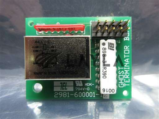 2981-600001-12//TEL Tokyo Electron 2981-600001-12 Ghost Terminator Board PCB ACT12 Working Spare/TEL Tokyo Electron/_01