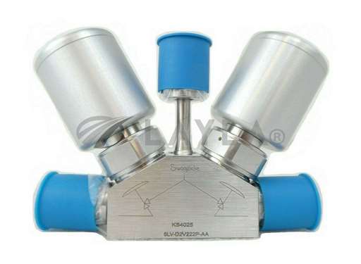 6LV-D2V222P-AA//Swagelok 6LV-D2V222P-AA Pressure Regulator Valve Nupro Novellus 22-10528-00 New/Swagelok/_01