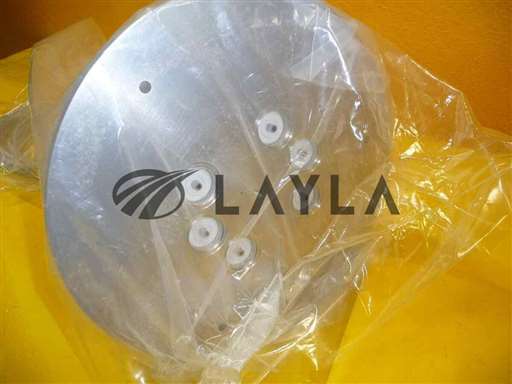 02425-011/-/Electrostatic Chuck 300mm PVD Upgrade New/Invax Technologies/-_01