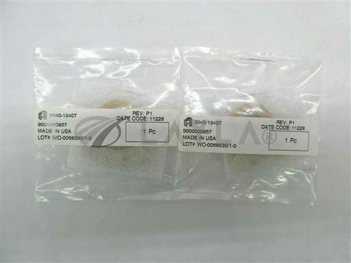 0040-13407//AMAT Applied Materials 0040-13407 Robot Anti Backlash Gear Reseller Lot of 2 New/AMAT Applied Materials/_01