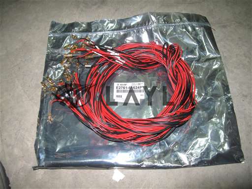 E2761-61624/-/Extra-Long, Low-Power DPS Cable/Agilent/_01
