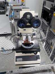 -/Examet/Union Examet Microscope/-/Union_01