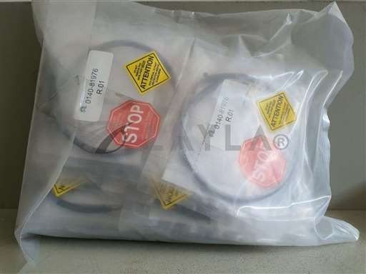 0140-81976//1 X APPLIED MATERIALS HARNESS ASSY WATLOW CTLR TO T 0140-81976/APPLIED MATERIALS/_01