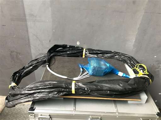 1155//1155-148-02 CABLE CSA AWM/Unbranded/_01