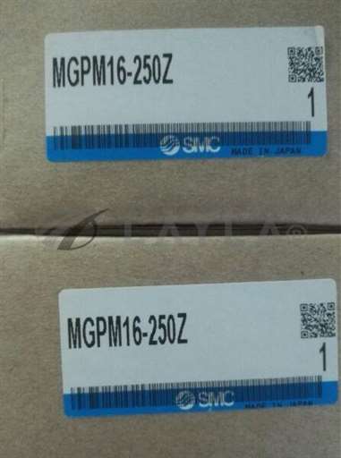 --/--/1PC New SMC MGPM16-250Z #A1/SMC/_01