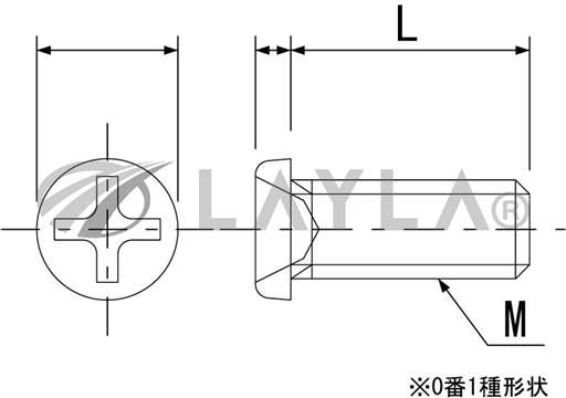 2575000120200/-/PEEK-GF30/Micro cross recessed pan head screw M1.2-2/Nippon Chemical Screw/_01