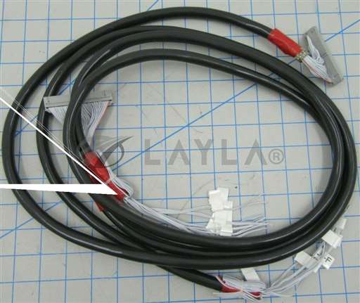 19-99555-04-05-06/-/19-99555-04-05-06 / CABLE RND TO FLT / CHIP CUSTOM CONFIG/CHIP CUSTOM CONFIG/_01