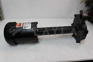 -/-/3722   3/4 HP Dayton Pedestal Pump/Dayton/_01