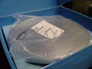 4500443/-/2001  Metron P/N: 4500443 ( H016xGen.) 300mm. Faceplate/Metron/_01