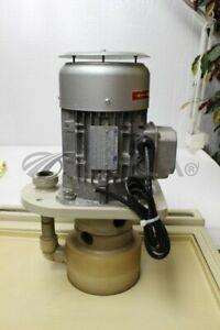-/-/4959  MT Motori Elettrici TN80A/2 Motor/Circulation Pump/MT Motori Elettrici/_01
