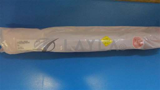 0190-30438//ASSEMBLY, CYLINDER RODLESS, WBLL/AMAT/AMAT_01