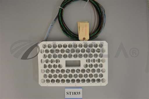 73080-02//Semitool | 73080-02, Heater Immersion, 208V, 2.2 kW/Semitool/_01