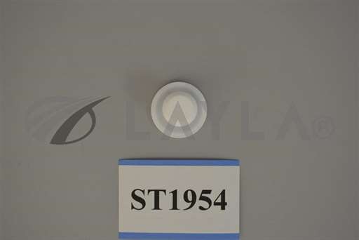 313C0001-01//Semitool | 313C0001-01, Poppet,Diaphragm,3/4 Drain Valve TFE/Semitool/_01