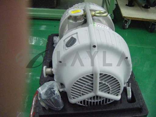 XDS35i/-/scroll pump/edwards/_01