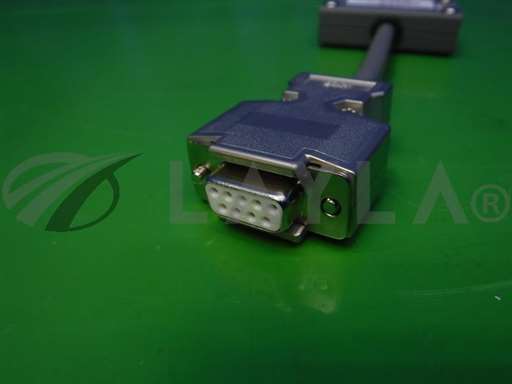 CAEFE01/CA EFE 01/MFC conversion adapter/HORIBASTEC/_01