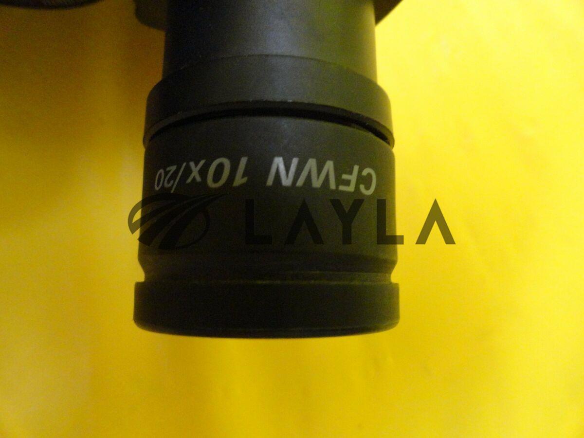 1000000091_380765194591 Nikon Binocular Eyepiece Microscope Long