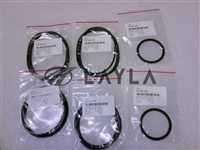 323110//Oring Set Vacuum (Vat Valve)