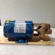 33CT6MV-AB-FE//Burks Pump, Bronze Construction, Viton Seal, 1/3 HP, 3 ph, 230/ 460 VAC, ODP Fra/Burks/