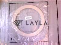 0040-52090//GUIDE RING 8" PPS/SS WITH OUT GROOVES