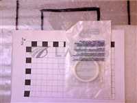 3700-02413//ORING ID 1.850 CSD .210 CHEMRAZ SC513 WHT