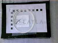 3700-01750//ORING ID10.984CSD.139FFK M(CHEMRAZ 513)8