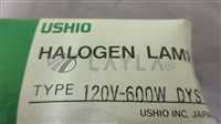 120V-600W//Ushio 120V-600W DYS Halogen Lamp, 407192/Ushio/_03
