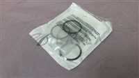 Greene TweedP/N 9123-SD550 (AS-568A-123 CPD 550) Windows O-ring. 407250