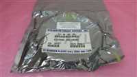 ICS-40-395-001//Integrated Circuit Support ICS-40-395-001 Ceramic Ring, Flat 6", 410497/Integrated Circuit Support/_01