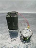 GTND--050-050//FABCO Air GTND-050-050 Cylinder w/ Wikai Gauge, 30 PSI, 316 SS, 100415/FABCO Air/_01