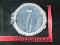 Applied Materials (AMAT) 0040-64336 Ring, Retaining Flanged PPS AEP, 300MM P