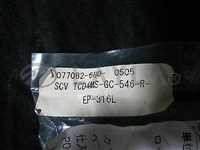 KITZ SCT TCD4MS-GC-546-R-EP-316L VALVE actuator