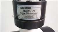 /-/Trebor Magnum 610 Ultra High Purity Chemical Pump w/ Model 75 Surge Suppressor//_02