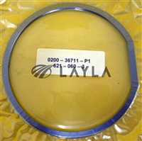 0200-36711-P1/-/Silicon Insert Ring Flat 125mm New