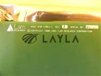 810-17061-1//Lam Research 810-17061-1 Connection PCB Card 4428b Rainbow Used Working/Lam Research/_01