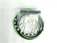 17-140163D01/HARNESS-LAMP BANK-BOTTOM WALL-RH/ASM 17-140163D01 Wire Harness Lamp Bank Bottom Wall RH New Surplus/ASM Advanced Semiconductor Materials/_01