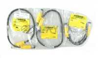 BSM BSM 19-995-0.6/U-38807/Turck BSM BSM 19-995-0.6 Cable U-38807 Pivotal 30410109A TEL Lot of 3 New Spare