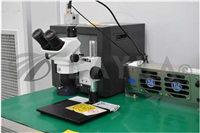 -/SZ61TR/Low-resolution Optical Microscope/-/OLYMPUS_01