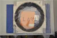 PLT GAS DIST 300MM EXT2910X BEOL PRESSKIT