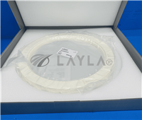 0200-21232/-/Supported Isolator face plate/AMAT/