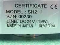 Vacuum gauge (ion gauge)