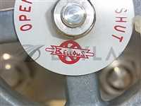 bellows valve