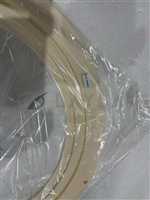 SHADOW LING (SYNDIYON)